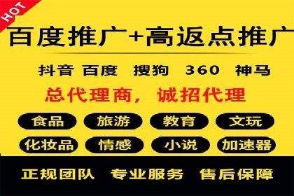 SEM代理服务：案例分享，效果显著